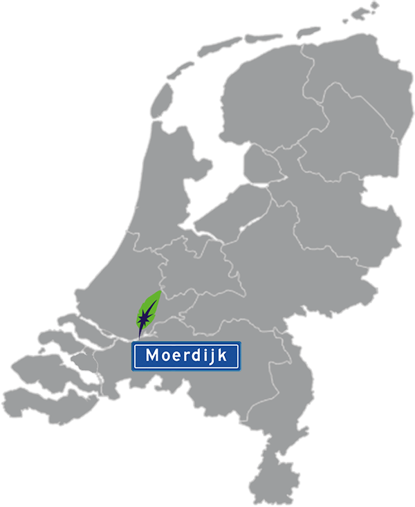 Grijze kaart van Nederland met Moerdijk aangegeven voor maatwerk taalcursus Spaans zakelijk - blauw plaatsnaambord met witte letters en Dagnall veer - transparante achtergrond - 600 * 733 pixels